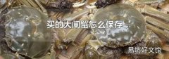 買的大閘蟹怎么保存