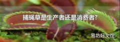捕蝇草是生产者还是消费者?