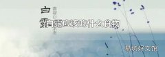 白露应该吃什么食物