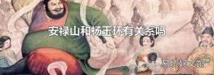 安禄山和杨玉环有关系吗