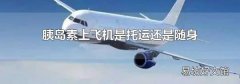 胰岛素上飞机是托运还是随身
