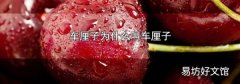 车厘子为什么叫车厘子