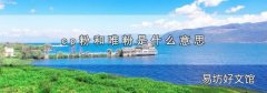 cp粉和唯粉是什么意思