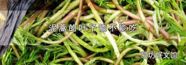 泥蒿的葉子能不能吃