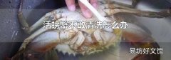 活螃蟹不敢清洗怎么办