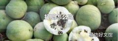 打瓜怎么吃