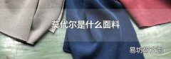 莫代爾是什么面料