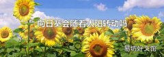 向日葵會隨著太陽轉動嗎
