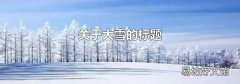 關于大雪的標題