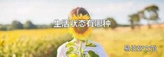 生活狀態有哪種