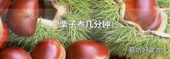 栗子煮几分钟
