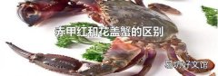 赤甲红和花盖蟹的区别