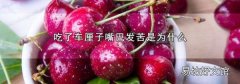 吃了车厘子嘴巴发苦是为什么