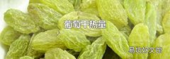 葡萄干热量