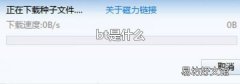 bt是什么