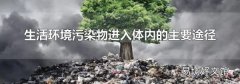 生活環境污染物進入體內的主要途徑