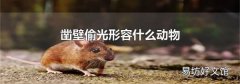 凿壁偷光形容什么动物
