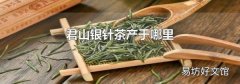 君山银针茶产于哪里