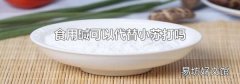 食用碱可以代替小苏打吗