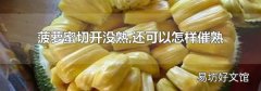 菠萝蜜切开没熟,还可以怎样催熟