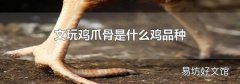 文玩鸡爪骨是什么鸡品种