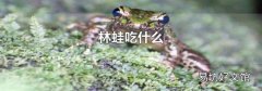 林蛙吃什么