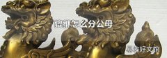 貔貅怎么分公母
