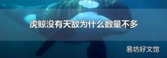 虎鯨沒有天敵為什么數量不多