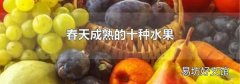春天成熟的十種水果