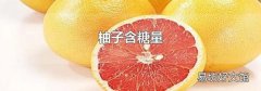 柚子含糖量