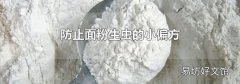 防止面粉生虫的小偏方