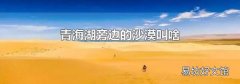 青海湖旁邊的沙漠叫啥