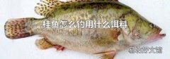 桂魚怎么釣用什么餌料