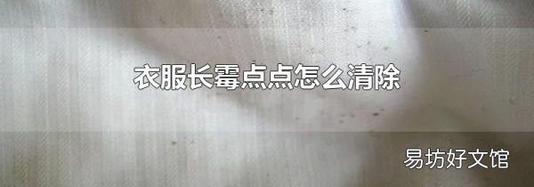 衣服長霉點點怎么清除