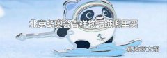 廣州冰墩墩售賣點