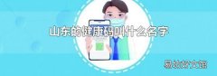 山東的健康碼叫什么名字