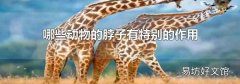哪些動物的脖子有特別的作用