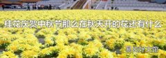 桂花庆贺中秋节那么在秋天开的花还有什么