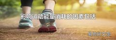 影响运动能量消耗的因素包括