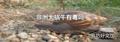 非洲大蜗牛有毒吗