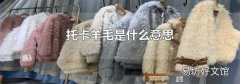 托卡羊毛是什么意思