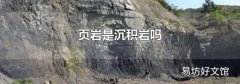 頁巖是沉積巖嗎