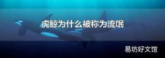 虎鲸为什么被称为流氓