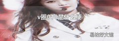 v圈010是什么梗