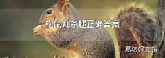 松鼠几条腿正确答案