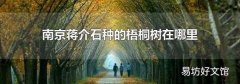 南京蒋介石种的梧桐树在哪里