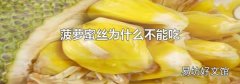 菠蘿蜜絲為什么不能吃