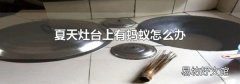 夏天灶台上有蚂蚁怎么办