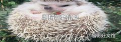 刺猬吃老鼠吗