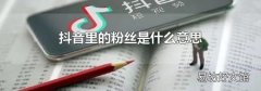 抖音里的粉丝是什么意思